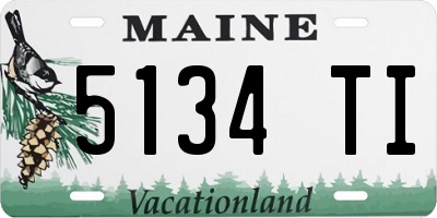 ME license plate 5134TI