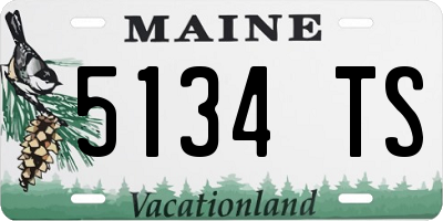 ME license plate 5134TS