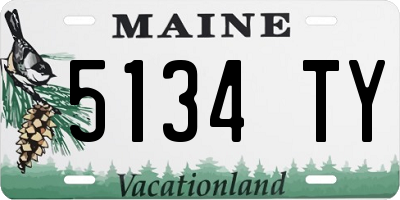 ME license plate 5134TY