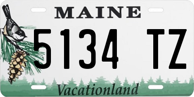 ME license plate 5134TZ