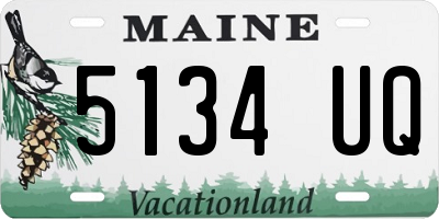 ME license plate 5134UQ