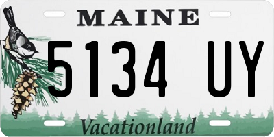 ME license plate 5134UY