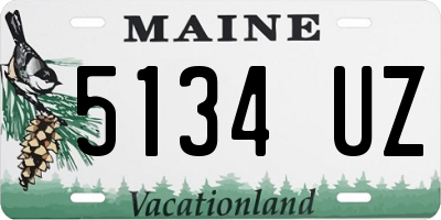 ME license plate 5134UZ