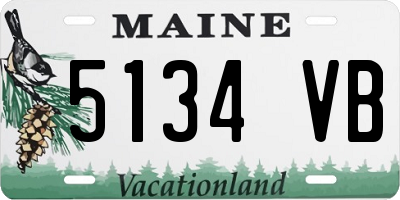 ME license plate 5134VB