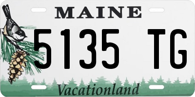 ME license plate 5135TG