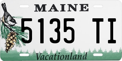 ME license plate 5135TI