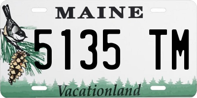 ME license plate 5135TM