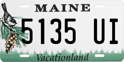 ME license plate 5135UI