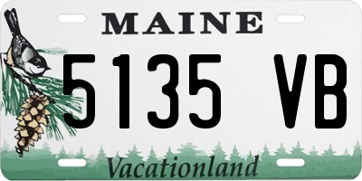 ME license plate 5135VB