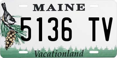 ME license plate 5136TV