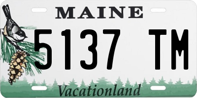 ME license plate 5137TM