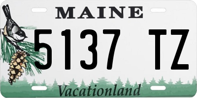 ME license plate 5137TZ