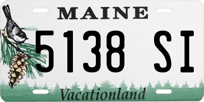 ME license plate 5138SI