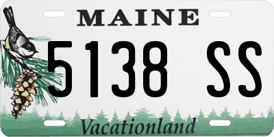 ME license plate 5138SS
