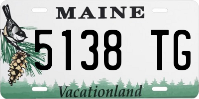 ME license plate 5138TG