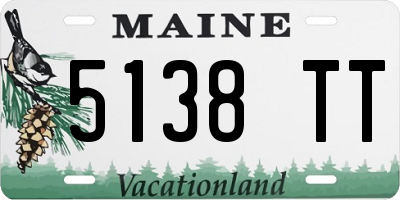 ME license plate 5138TT