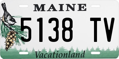 ME license plate 5138TV