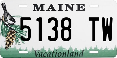 ME license plate 5138TW