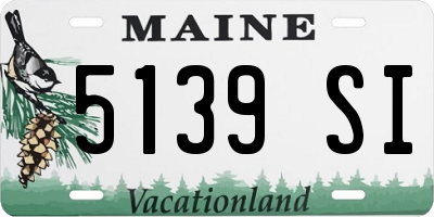 ME license plate 5139SI