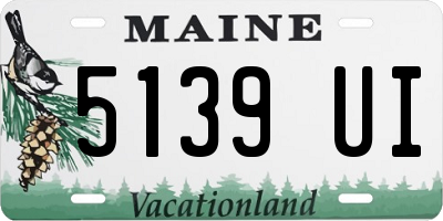ME license plate 5139UI