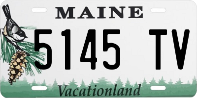 ME license plate 5145TV