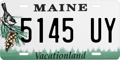 ME license plate 5145UY