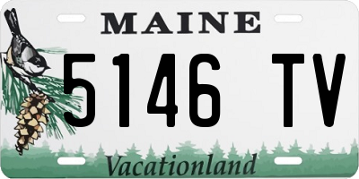 ME license plate 5146TV