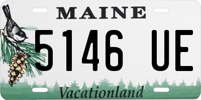 ME license plate 5146UE