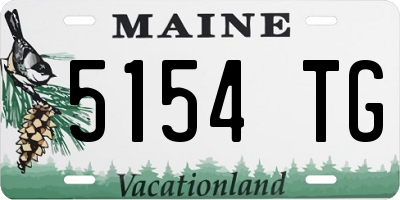 ME license plate 5154TG
