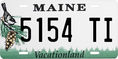ME license plate 5154TI