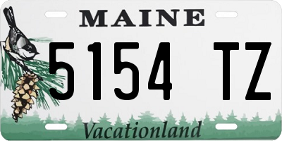ME license plate 5154TZ