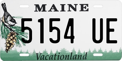 ME license plate 5154UE
