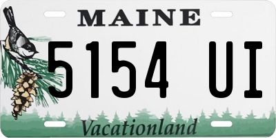 ME license plate 5154UI