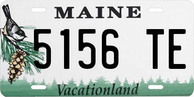 ME license plate 5156TE