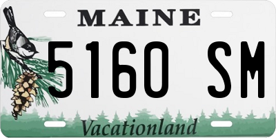 ME license plate 5160SM