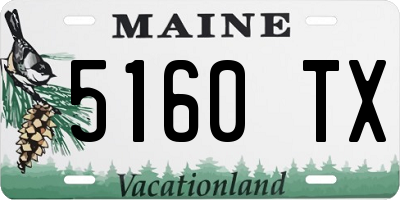 ME license plate 5160TX