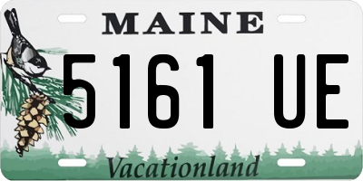 ME license plate 5161UE