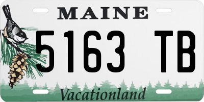 ME license plate 5163TB
