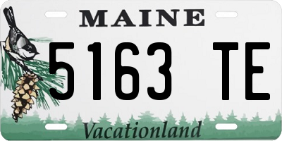 ME license plate 5163TE
