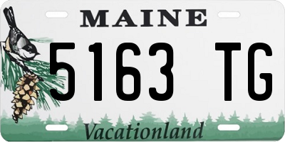ME license plate 5163TG