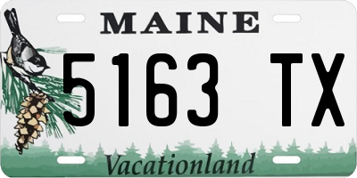 ME license plate 5163TX