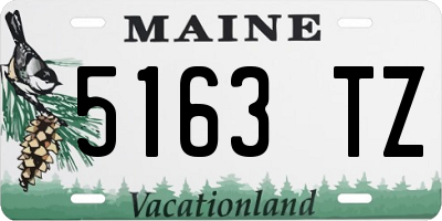 ME license plate 5163TZ