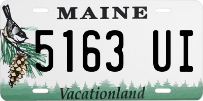 ME license plate 5163UI
