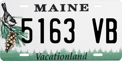 ME license plate 5163VB