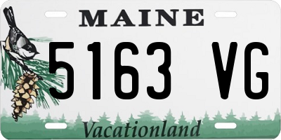 ME license plate 5163VG