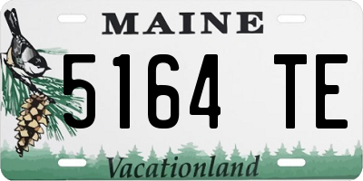 ME license plate 5164TE