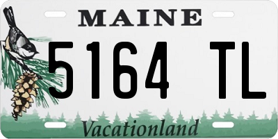 ME license plate 5164TL