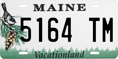 ME license plate 5164TM