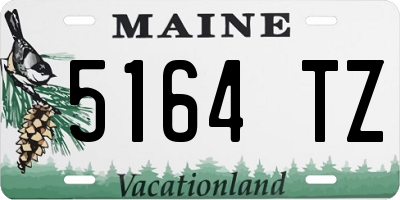 ME license plate 5164TZ