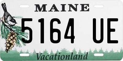 ME license plate 5164UE